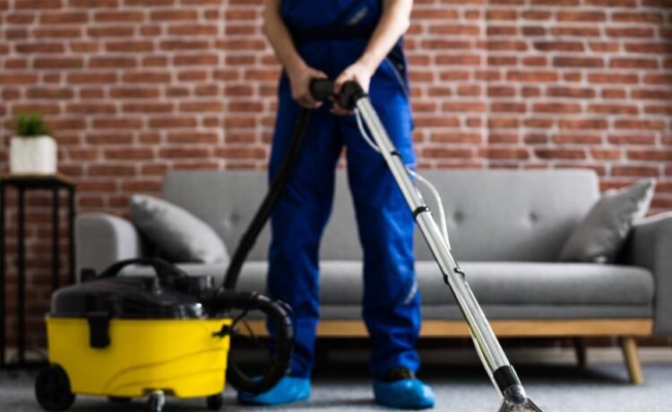 Why Carpet Cleaning Is Essential for Pet Owners  